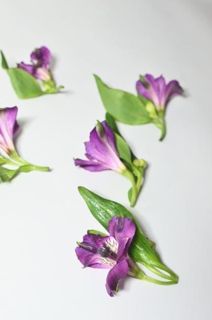 purple leaf umbrella instructions